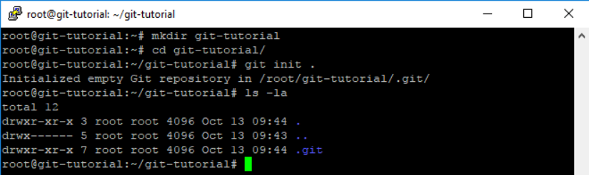 Create a project directory, run 'git init' to set up a Git repository.