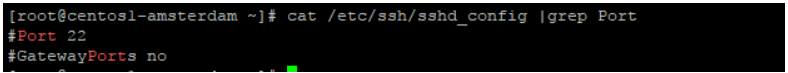 Checking SSH Port Configuration