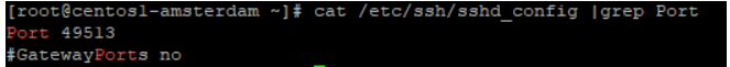 Uncomment the port string and change the port to 49513 in the configuration file.