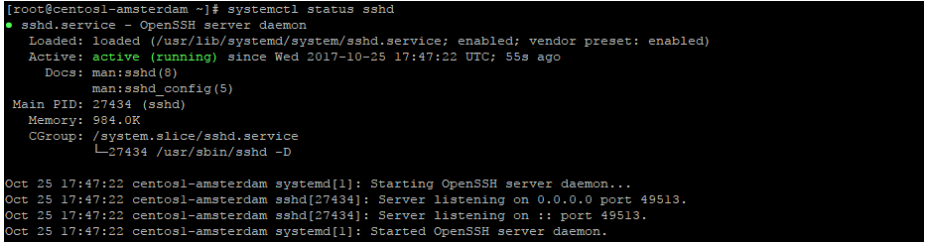 Verifying Service Restart and SSHD Status