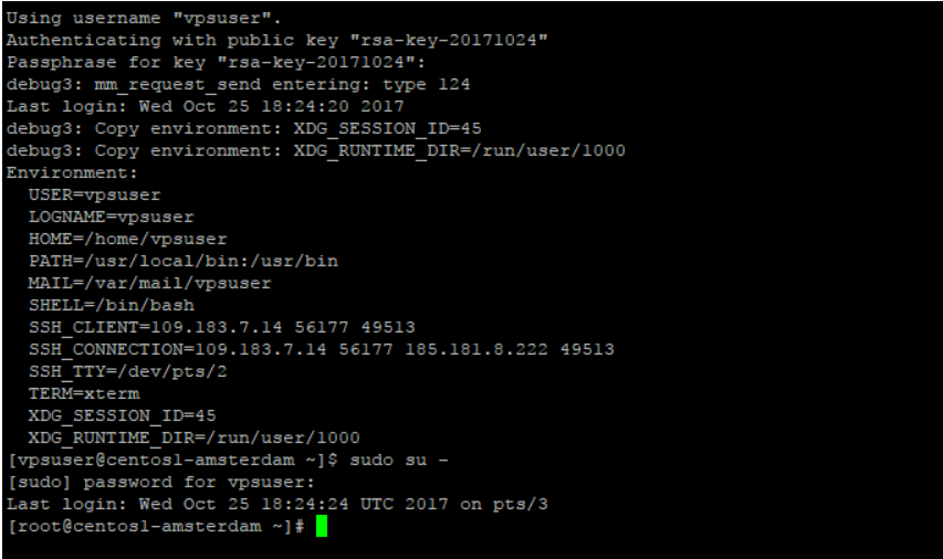 Use command to log in as the root user after entering the password.