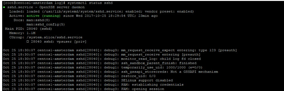 Verifying SSH Service