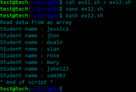bash script 19