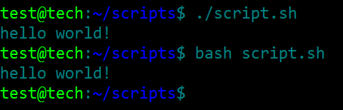 bash script 5