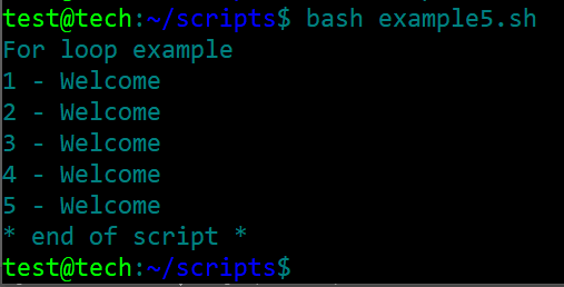 bash script 9