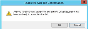 in window server active recycle bin 10
