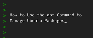 remove with the APT command 1